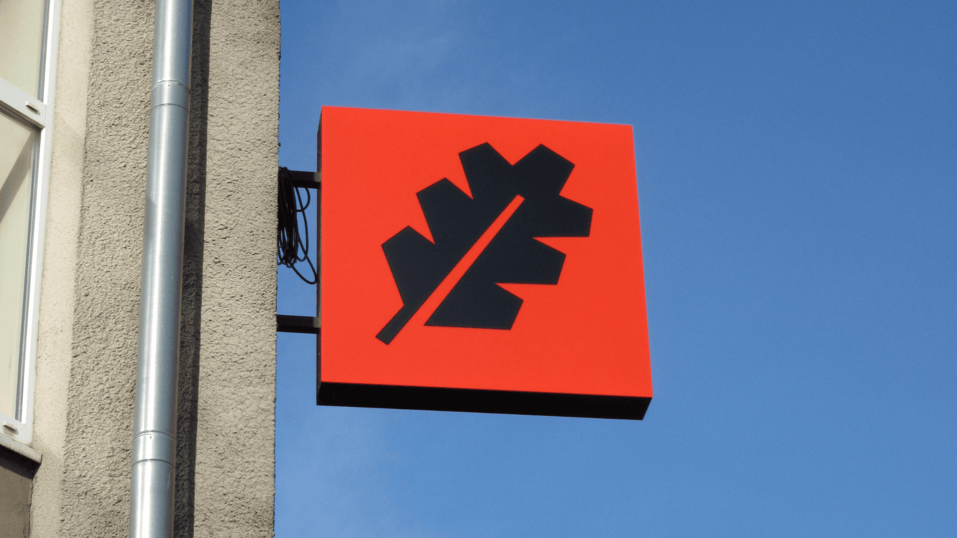 Sporta kluba Ozols zīmola identitāte un mājaslapa